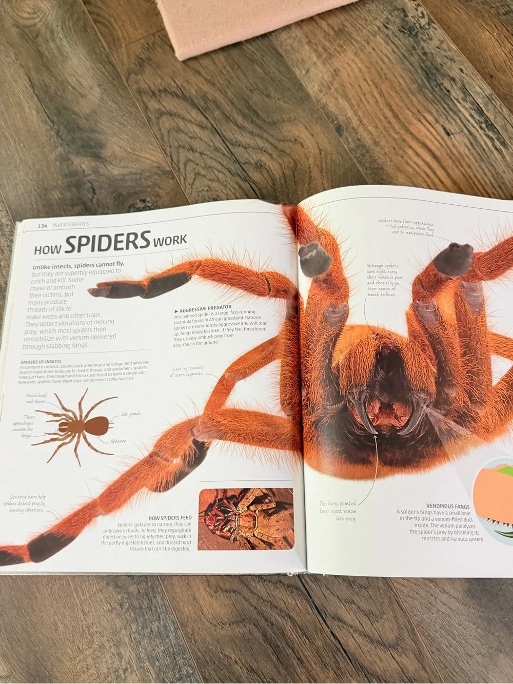 Smithsonian Explanatorium of Nature Illustrated Science Nature Book hardcover